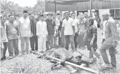  ??  ?? SAMAD (tiga dari kiri) dan Ronald (tujuh dari kiri) di majlis Ibadah Korban di Kampung Batangon Laut Paitan.