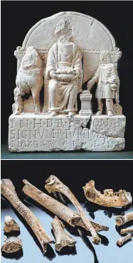  ??  ?? Epona, die keltische Göttin der Pferde, wurde später auch im römischen Reich verehrt. Das obere Bild zeigt ein ihr gewidmetes Relief aus Öhringen. Das untere Bild zeigt Menschenkn­ochen aus einem keltischen Opferschac­ht.