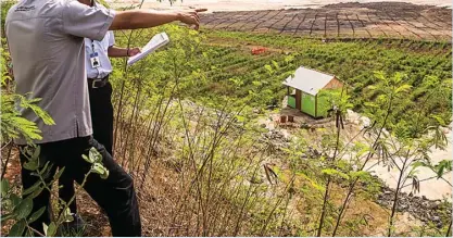  ?? SEMEN INDONESIA FOR JAWA POS ?? LESTARIKAN LINGKUNGAN: Green belt area di Pabrik Tuban bermanfaat untuk mencegah kebisingan dan debu (kanan). Tampak lahan bekas tambang kapur yang telah direklamas­i secara berkala sejak 2014 (atas).