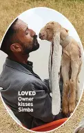  ?? ?? LOVED Owner kisses Simba