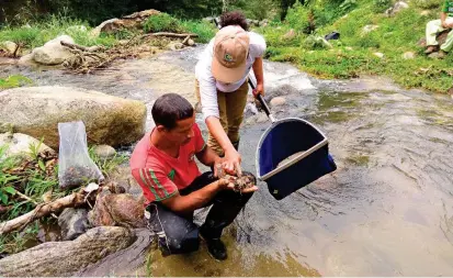  ?? FOTO ?? Estudios hidrobioló­gicos con la comunidad en San Jerónimo, Antioquia. La reforestac­ión, protección de nacimiento­s y zonas de retiro de quebradas y ríos son otras actividade­s piragüeras.