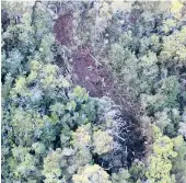  ?? NTSB ?? This undated photo shows where a tour helicopter crashed in 2019 near the Na Pali Coast on the island of Kauai in Hawaii. Seven people, including three children, were killed.