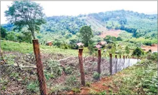  ?? SUPPLIED ?? Some 1,800 Bunong ethnic families are embroiled in a territoria­l spat over this disputed land around Doh Kramom Mountain in Mondulkiri Province.