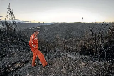  ?? BRADEN FASTIER/STUFF ?? The Tasman District fires caused landscape damage which is covered by insurance to vastly different degrees.