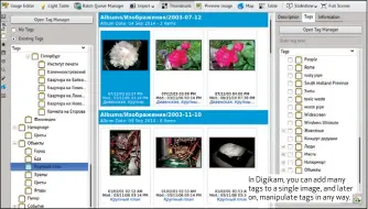  ??  ?? In Digikam, you can add many tags to a single image, and later on, manipulate tags in any way.