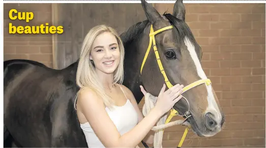  ?? Picture: Michel Bega ?? Bianca Schoombie with Irish import Cascapedia, currently 5/1 joint favourite for the G-Bets Gauteng Summer Cup to be run at Turffontei­n Racecourse on Saturday. Cascapedia is out to give trainer Mike de Kock an amazing 10th success in Joburg’s greatest race after he first won the event back in 1989 with Evening Mist.