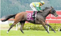  ?? Photo / Trish Dunell ?? Concert Hall will contest the group two Joe McDonald Avondale Cup (2400m) at Ellerslie on Saturday.