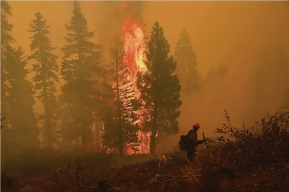  ?? Brontë Wittpenn / The Chronicle ?? As a group of trees begin to catch fire, Mark Salerno of Iron Mountain hand crew sets fire to create a fire break near Echo Summit Lodge near South Lake Tahoe.