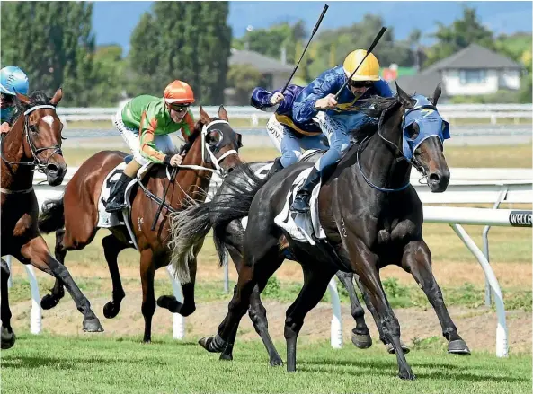  ??  ?? Clarify, ridden by Sean McKay, charges away in the Manawatu Cup.