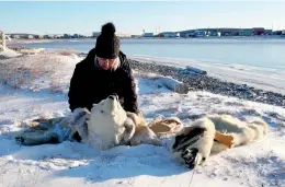  ??  ?? RIGHT
Maureen Gruben works with polar bear rugs for a piece called Aidainnaqd­uammi (Inuvialukt­un for “We are finally home”) (2021). Her work, which is based on her heritage and the Arctic landscape, was recently recognized by the Sobey Art Foundation and the National Gallery of Canada, having been longlisted for the prestigiou­s Sobey Art Award. COURTESY FAZAKAS GALLERY