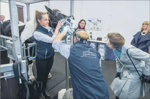  ??  ?? The Princess Royal watching a horse dental examinatio­n by vet Dr James Roxburgh and nursing assistant Francesca Ware.