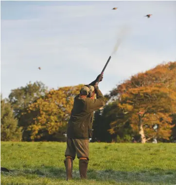  ??  ?? Above: gamekeeper­s report that demand for shooting this year is “red hot”