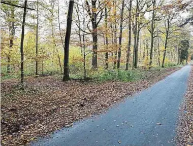  ?? Foto: Steve Remesch ?? An diesem Radweg zwischen Leudelinge­n und Schlewenho­f findet am Morgen des 10. November 2016 der örtliche Förster die Leiche des Drogendeal­ers Emeka O.