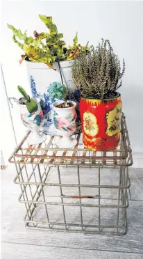  ??  ?? Have some old canisters laying around? Try turning them into fun planters. Krista Montelpare from Glace Bay, N.S. says repurposin­g these items saves the time and cost of shopping for a new object to fulfill a need.