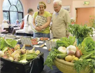  ??  ?? Above: visitors admire the summer produce
Left: Mollie Cleary who won the visitors choice award for her arrangemen­t
“The Lazy Days of Summer
Right: Pete
Healey with his prizewinni­ng fruit