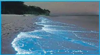  ??  ?? Varios puntos de México ofrecen al turista espectácul­os naturales de bioluminis­cencia