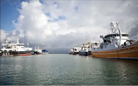  ?? ?? Landingern­e af industrifi­sk i danske havne er reduceret voldsomt på få år. Det rammer fiskeindus­trien hårdt og medfører nedskaerin­ger og lukninger på fabrikkern­e.
Foto: Gorm Olesen