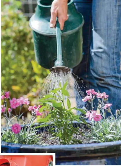  ??  ?? RIGHT Veg grown in containers need watering more than plants in the ground, so water daily or use an irrigation system