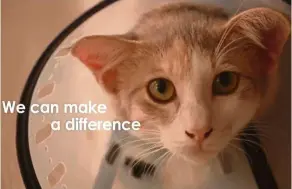  ??  ?? A screenshot from a short film by Celcom, which was produced to encourage the public to support animal rescue efforts as part of its #ICanCareMY campaign.