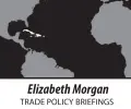  ??  ?? Elizabeth Morgan TRADE POLICY BRIEFINGS