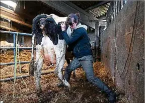  ??  ?? Elsa Louvet est à la fois vétérinair­e et ostéopathe bovine.