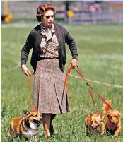  ?? ?? Queen Elizabeth II with some of her corgis walking the cross-country course at the Windsor Horse Trial in May 1980