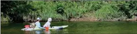  ?? (Arkansas Democrat-Gazette/Bryan Hendricks) ?? Paddlers frequently take their dogs on canoe and kayak trips.