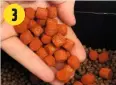  ??  ?? Add a few 11mm floating pellets so that the carp don’t become over-focused on the small ones. 3