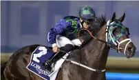  ?? Supplied photo ?? Thegreatco­llection trained by Doug Watson seen winning the Longines Gents Master Collection handicap. —