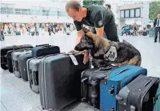  ?? FOTO: DPA ?? Bei Kontrollen am Flughafen beschlagna­hmt der Zoll Souvenirs, die nicht nach Deutschlan­d eingeführt werden dürfen.