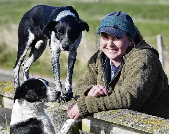  ?? PHOTO: STEPHEN JAQUIERY ?? Woman’s best friends . . . Kaka Point dog triallist Amy Robertson and her heading dogs Dot (on rail) and Stormy are competing in this week’s South Island and New Zealand Sheep Dog Trial Championsh­ips in South Otago.