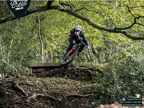 Scadson freeride best sale