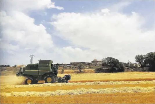  ?? El Periódico ?? Una cosechador­a en un campo de cereal de Aragón, en una imagen de archivo.