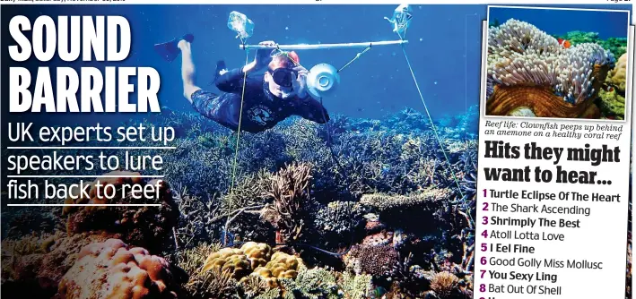  ??  ?? Rolling in the deep: British researcher Tim Gordon places one of the loudspeake­rs on the Great Barrier Reef