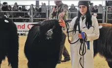  ?? 15_T07_Highlander Show_02 ?? Chloe Roberts with the second Best Yearling Bull, bred by Arthur Hill and owned by Mr and Mrs Simon Haley.