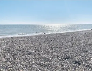  ?? ?? The beach and coastal waters at Bognor