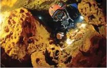  ?? Handout via Reuters - Jan Arild Aaserud/Courtesy Gran Acuifero Maya Project (GAM)/ ?? DISCOVERY: A scuba diver looks at an animal skull at Sac Aktun underwater cave system during exploratio­n as part of the Gran Acuifero Maya Project near Tulum, in Quintana Roo state, Mexico on February 12, 2014.