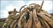  ?? BEN CURTIS / AP ?? Kenyan soldiers prepare to burn seized elephant tusks in Nairobi on April 20. On Monday, one of Africa’s oldest and largest elephants, Satao II, was killed by poachers in the country.