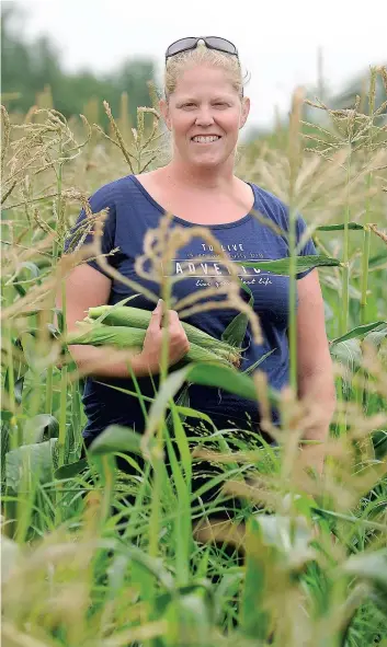  ?? PHOTO LE JOURNAL DE QUÉBEC, JEAN-FRANÇOIS DESGAGNÉS ?? Isabelle Béland espère que les nuits seront plus chaudes pour faire mûrir son maïs.