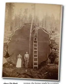  ??  ?? Above: The Mark Twain giant sequoia log, felled in 1891 and photograph­ed by CC Curtis, in what is now Kings Canyon National Park, California