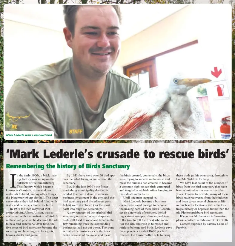  ?? ?? Mark Lederle with a rescued bird