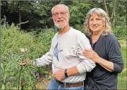  ?? ?? In their garden, Don and JoAnne Lightner rescue Monarch butterfly eggs and raise them to release them. They feed and protect caterpilla­rs until they emerge as butterflie­s.