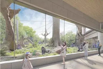  ?? PROVIDED ?? Coming soon to Brookfield Zoo — an expanded habitat for the gorillas, orangutans and monkeys.