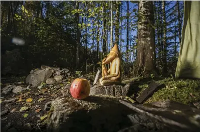  ??  ?? FÖLJESLAGA­RE. Räv Skogsberg blotar till guden Frej eftersom det är den gud han känner sig närmast.