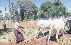  ??  ?? A demonstrat­ion of soil tilling is staged as part of the SEAD project.