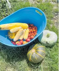  ?? ?? The Smith family grows seasonal food. Pictured is freshly picked produce ready for ratatouill­e.