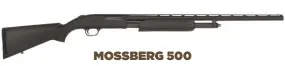  ??  ?? mossBerg 500