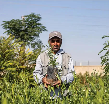  ?? AN photo ?? Barin Nursery in Syria’s Qamishli donates thousands of trees and seedlings to local projects combating overcultiv­ation, as well as water and wind erosion.