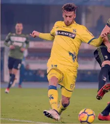  ??  ?? Mattia Bani, 24 anni, difensore del Chievo, ex Pro Vercelli