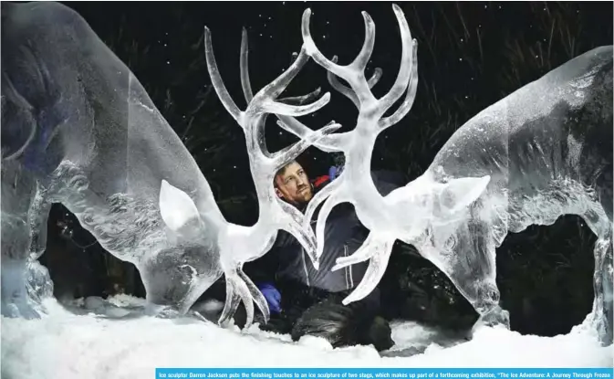  ??  ?? Ice sculptor Darren Jackson puts the finishing touches to an ice sculpture of two stags, which makes up part of a forthcomin­g exhibition, “The Ice Adventure: A Journey Through Frozen Scotland”, in Edinburgh, Scotland. — AFP